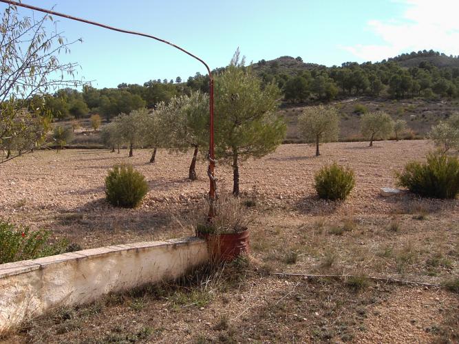 CASA DE CAMPO MUY CERCA PARA VIVIR Y EN YECLA