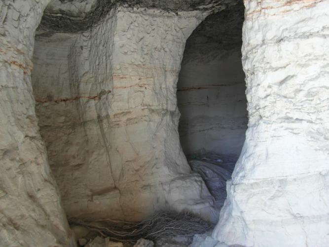 TERRENO EN EL PARAJE DE LA MAGDALENA Y EN YECLA