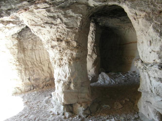 TERRENO EN EL PARAJE DE LA MAGDALENA Y EN YECLA